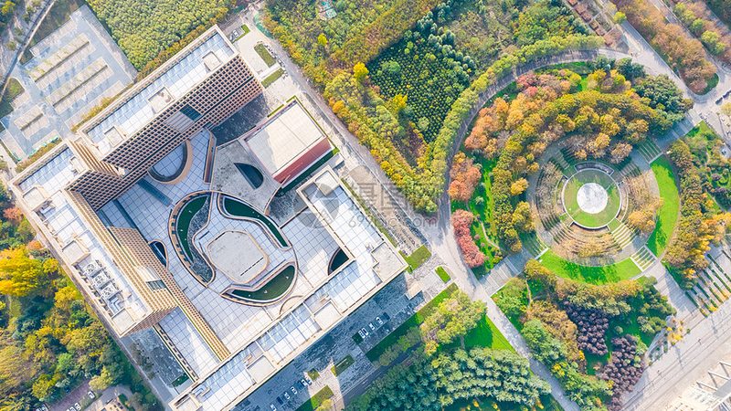 国产芯片价格之谜：揭秘其背后的考量因素